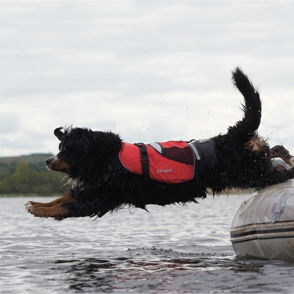 2026 Crewsaver Pet Dog / Cat Lifejacket Float 2370 - Red