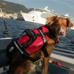 2024 Crewsaver Chaleco Salvavidas Para Perros Y Gatos Flotante 2370 - Rojo