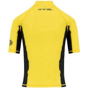Animal Junior Boys Hiltern Short Sleeve Rash Vest Bright Yellow CL8SN610