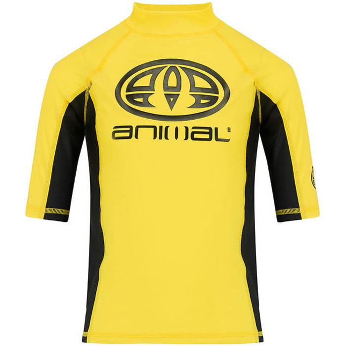 2018 Animal Junior Boys Hiltern Short Sleeve Rash Vest Bright Yellow CL8SN610