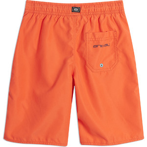 2019 Animal Junior Garvbrdans Shorts Smllare Orange Cl9sq600