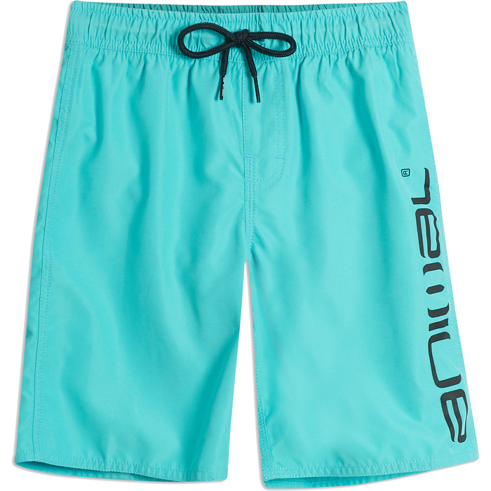 2019 Animal Junior Tanner Board Shorts Pacific Blue CL9SQ600
