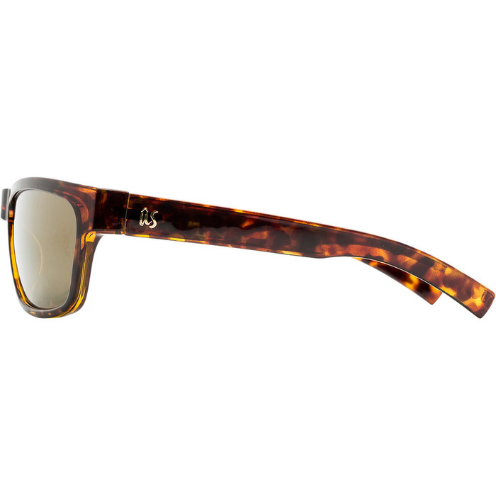 2021 US The Tatou Sunglasses 836 - Gloss Tortoise Shell / Gold Lenses