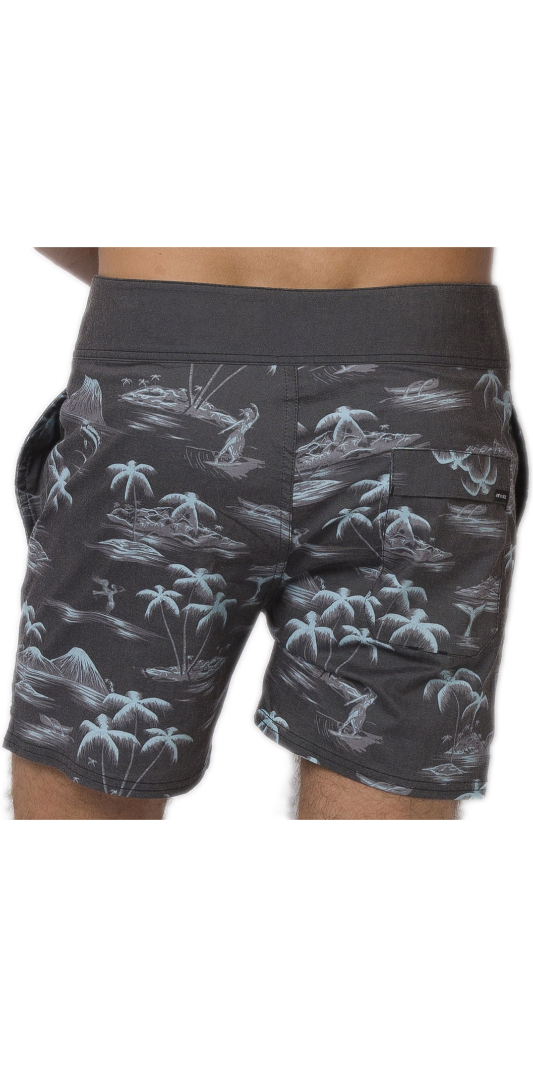 Tamatoa Animal Mens Boardshort Men's Clothing Swimwear Shorts & Trunks