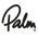 Palm