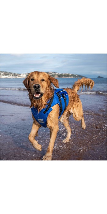 2021 Red Paddle Co Dog Buoyancy Aid - Blue